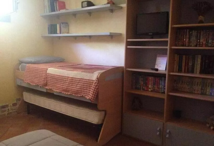 B&b Chorisia