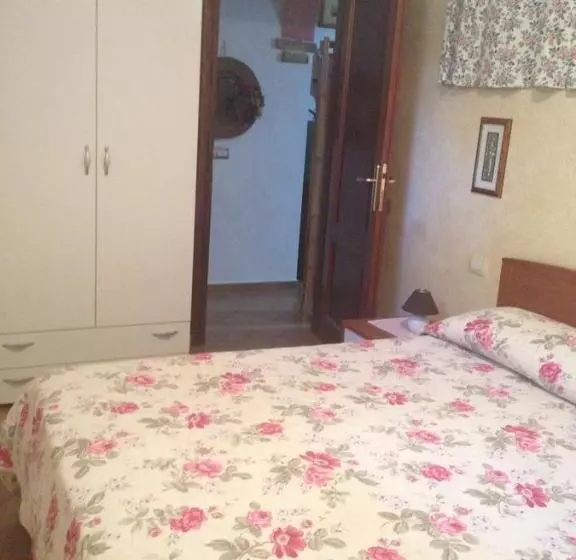 B&b Chorisia