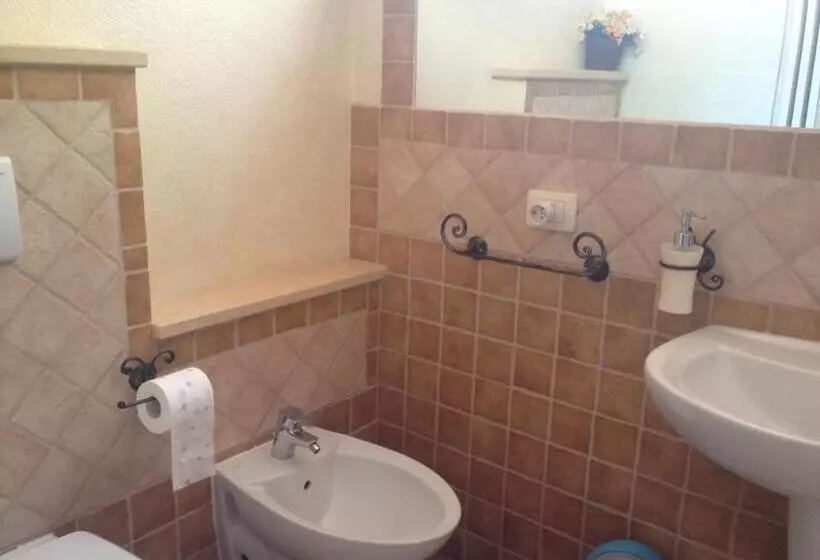 B&b Chorisia