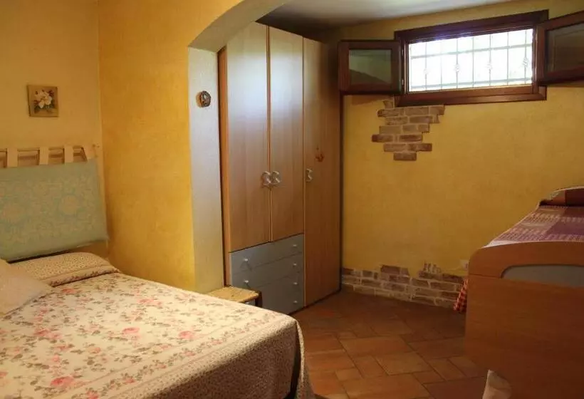 B&b Chorisia
