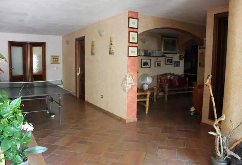 B&b Chorisia