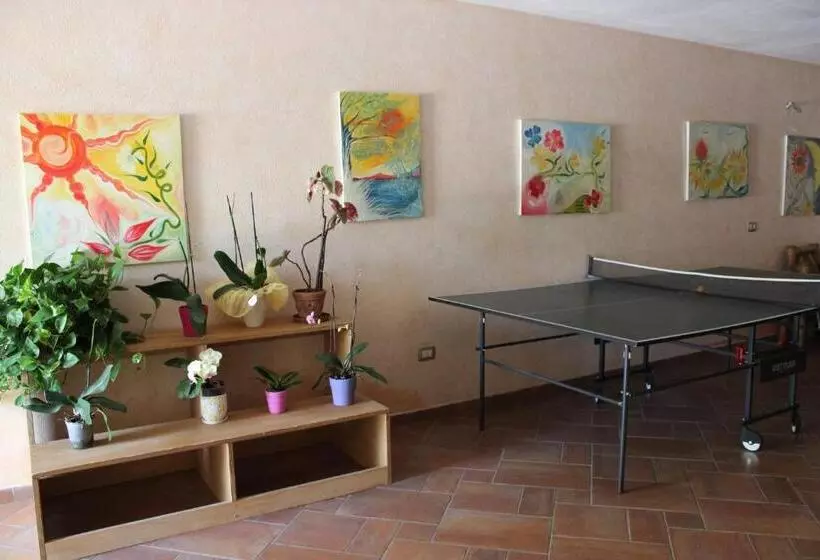 B&b Chorisia