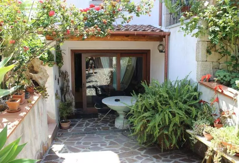 B&b Chorisia