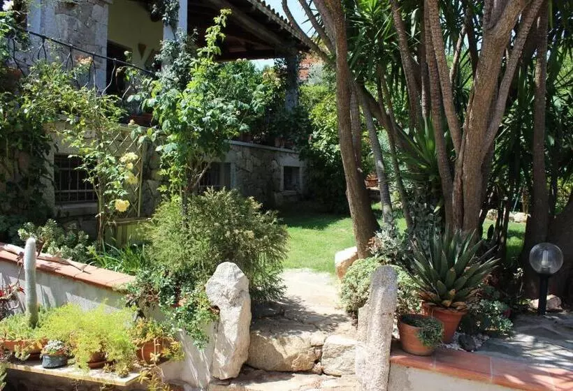 B&b Chorisia
