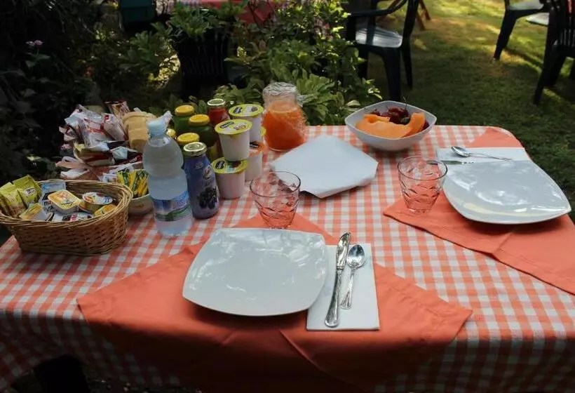 B&b Chorisia