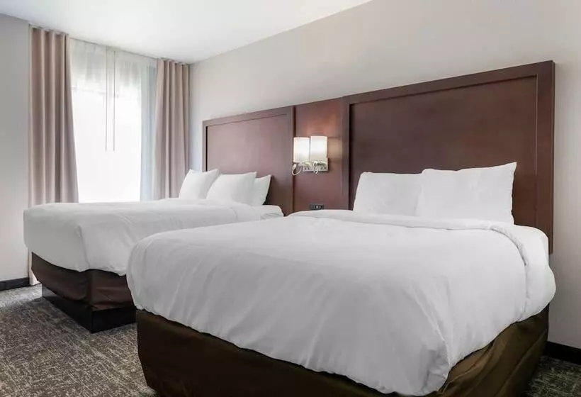 ホテル Comfort Suites