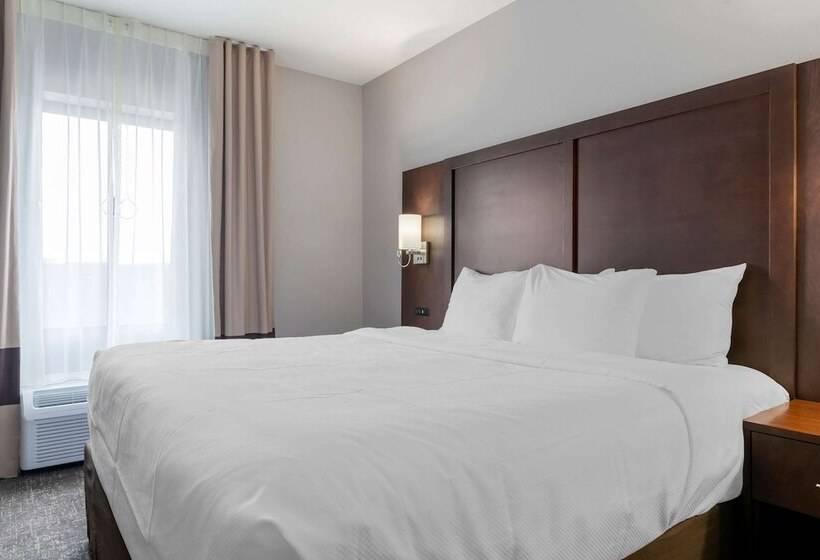 فندق Comfort Suites