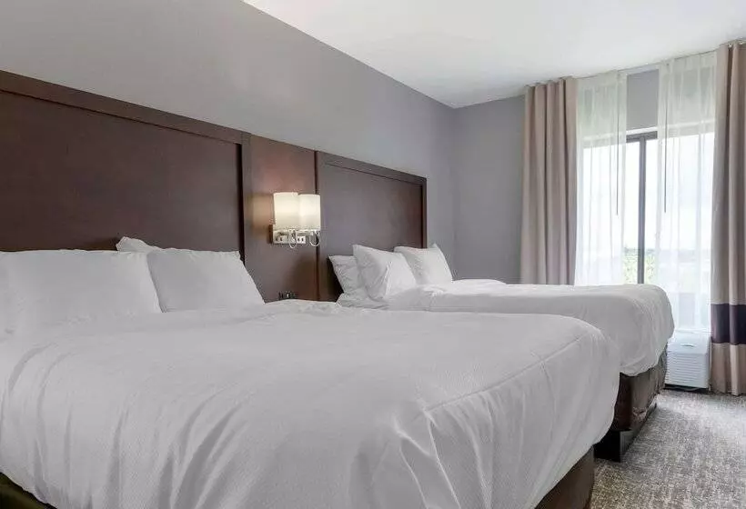 ホテル Comfort Suites