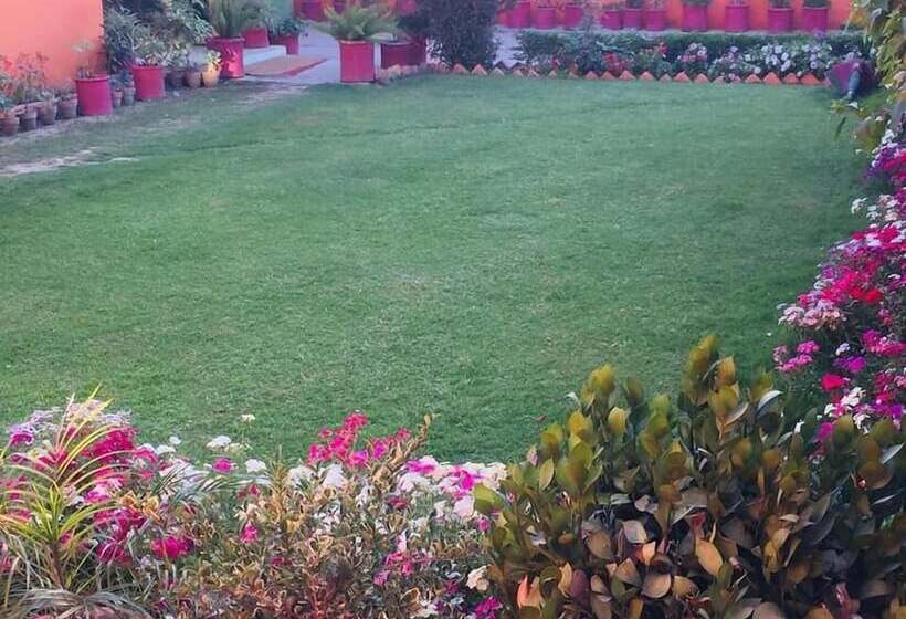 酒店 Green Lodge Guest House