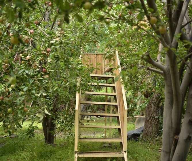 ホテル Organic Village Retreat