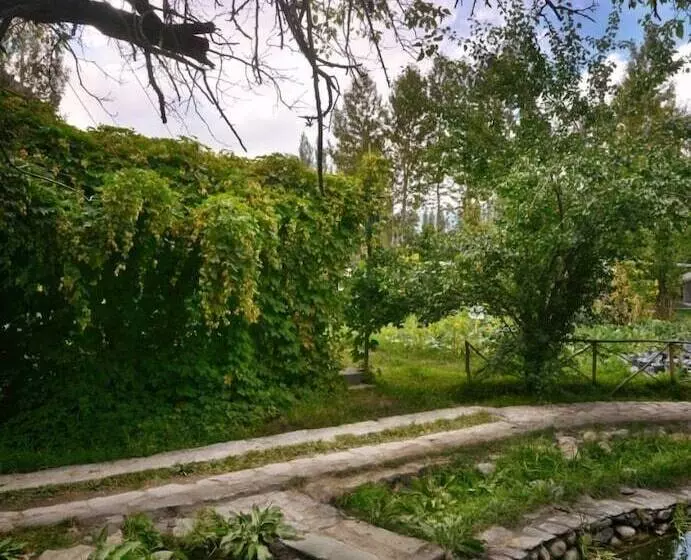 ホテル Organic Village Retreat