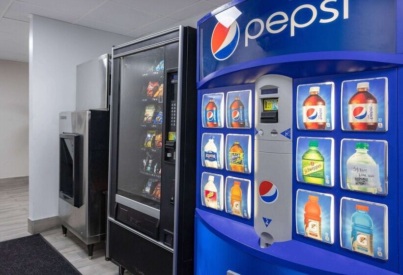 בית מלון כפרי Super 8 By Wyndham Lindenhurst