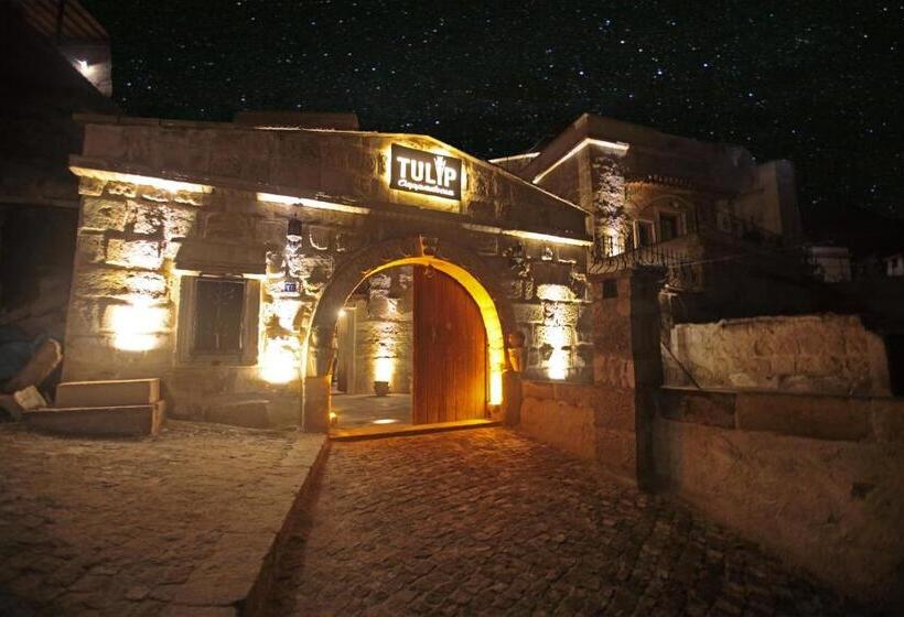 هتل Tulip Cave Suites