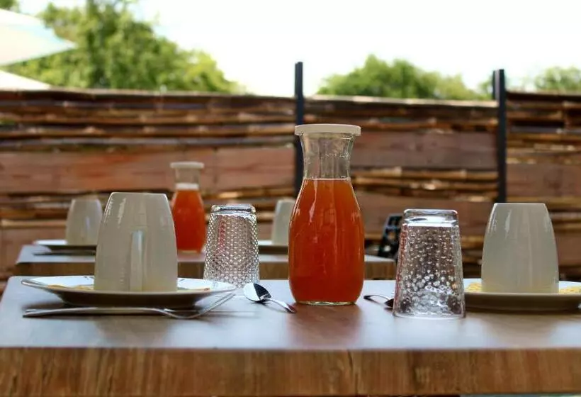 The Alpaca B&b