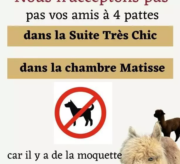 The Alpaca B&b