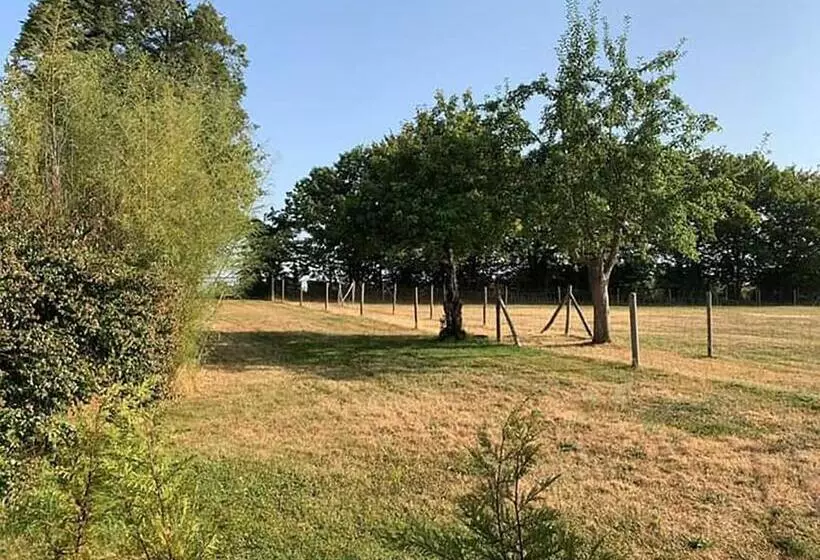 The Alpaca B&b