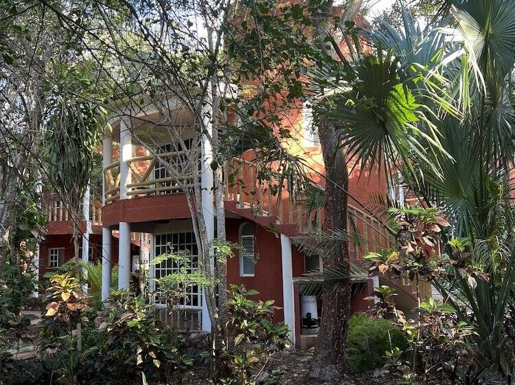 Eco Hotel Nueva Altia