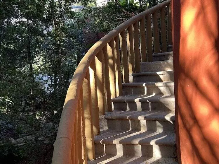 Eco Hotel Nueva Altia