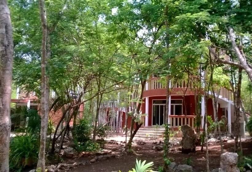 Eco Hotel Nueva Altia