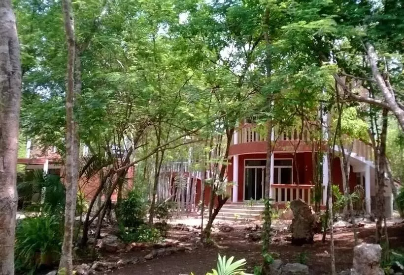 Eco Hotel Nueva Altia