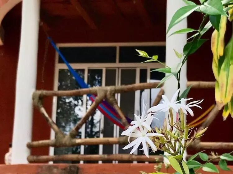 Eco Hotel Nueva Altia