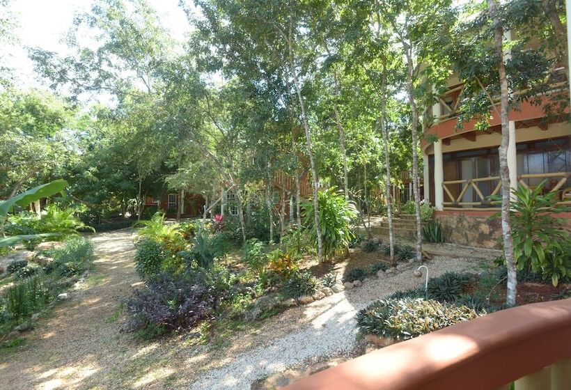 Eco Hotel Nueva Altia