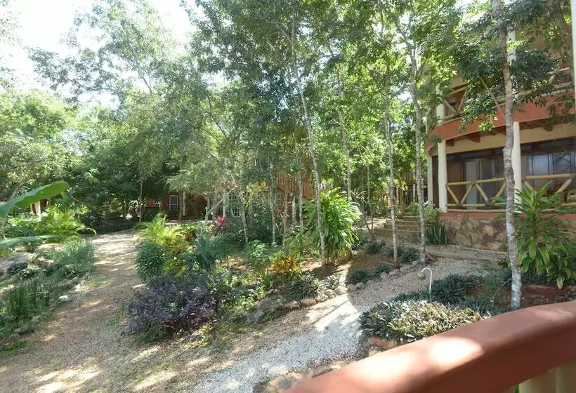 Eco Hotel Nueva Altia