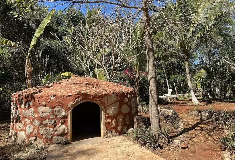 Eco Hotel Nueva Altia