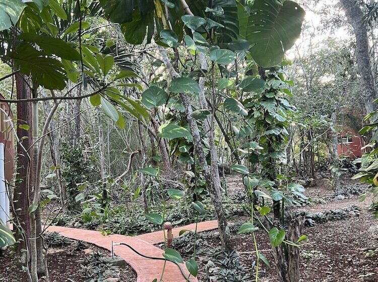 Eco Hotel Nueva Altia