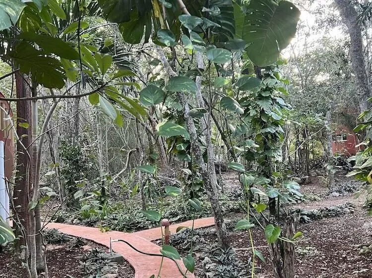 Eco Hotel Nueva Altia