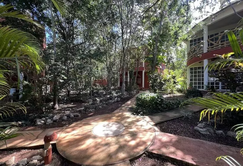 Eco Hotel Nueva Altia