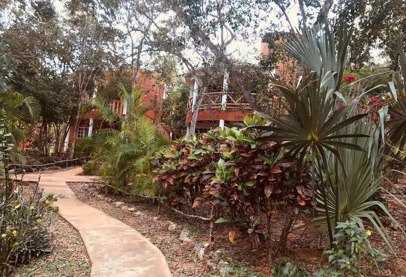 Eco Hotel Nueva Altia