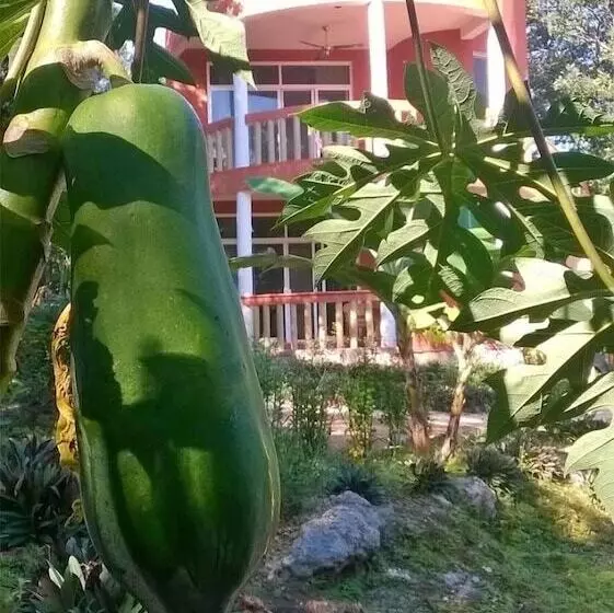 Eco Hotel Nueva Altia