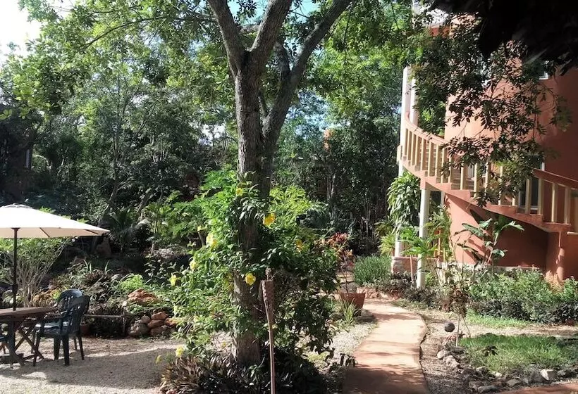 Eco Hotel Nueva Altia