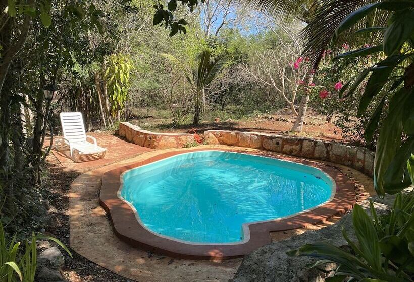 Eco Hotel Nueva Altia