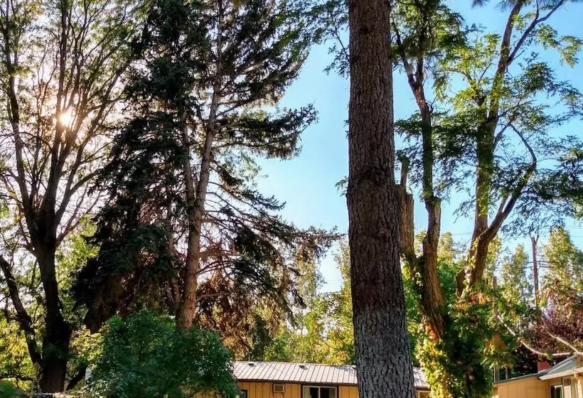 ホテル Billingsley Creek