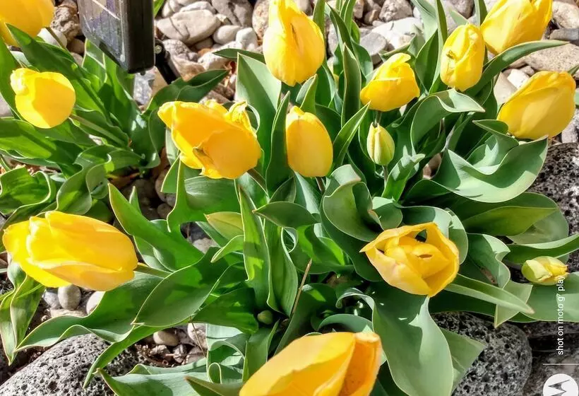 ホテル Billingsley Creek