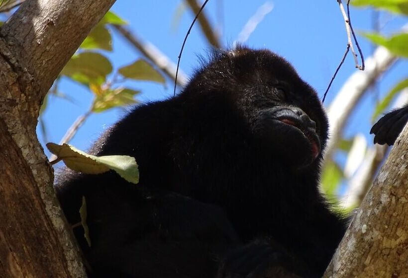 酒店 Chez Nous B&b