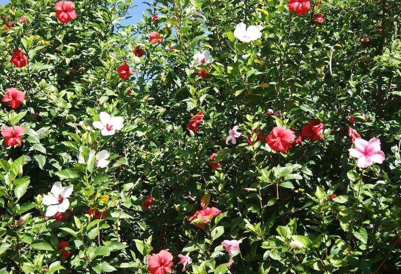 酒店 Chez Nous B&b