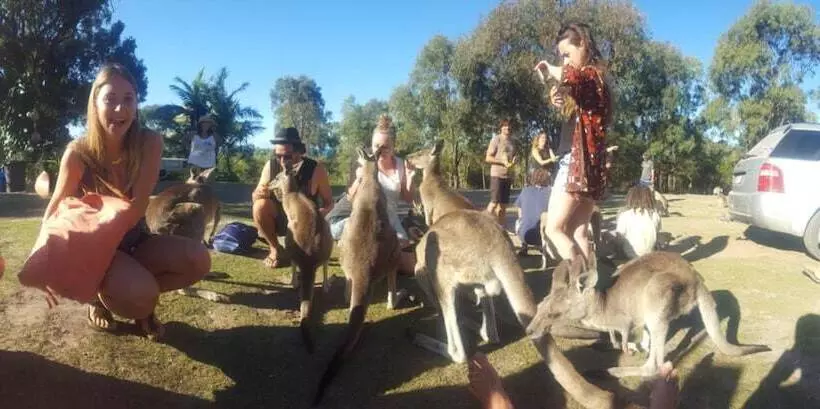 Hotelli Escape 1770  Adults Only