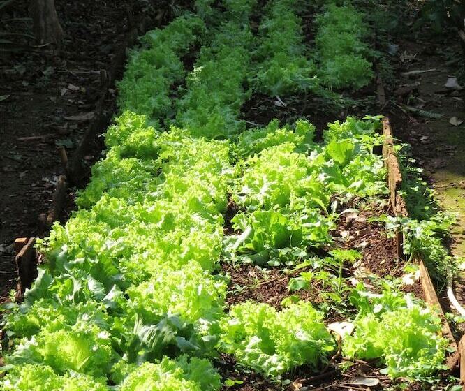 Отель Hostel Nature