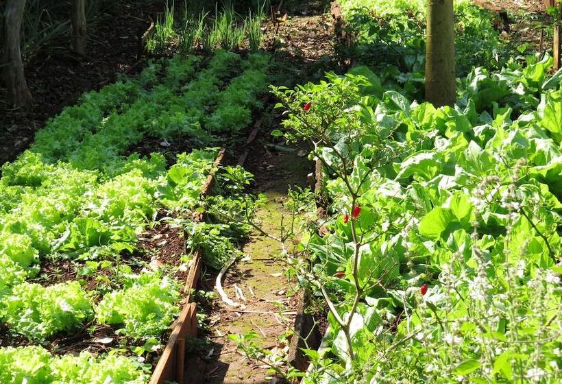 Отель Hostel Nature