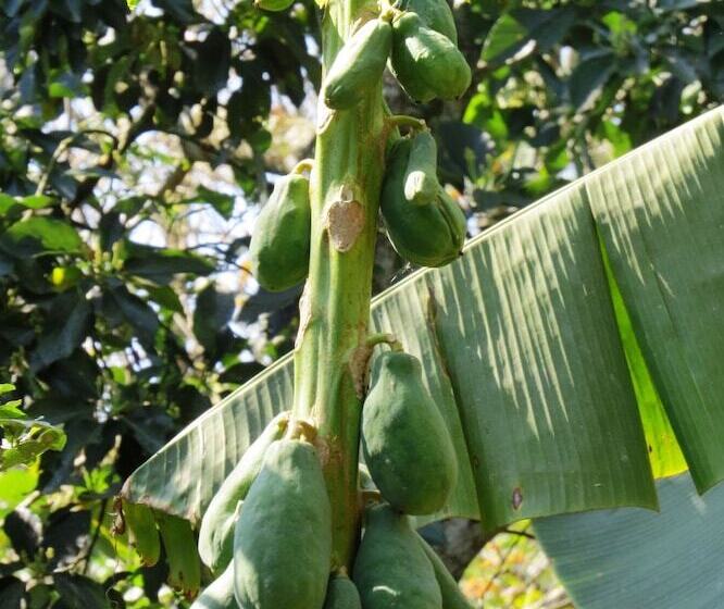 Отель Hostel Nature