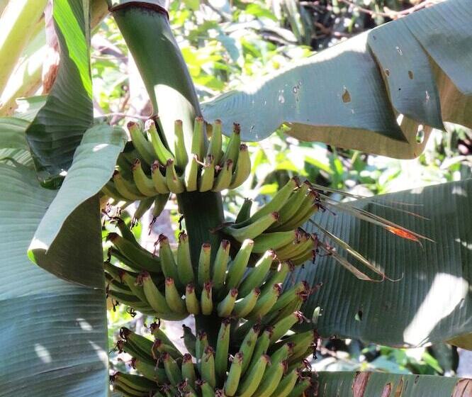 Отель Hostel Nature