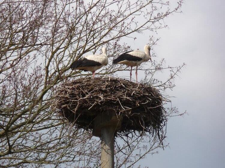 فندق Kavaliershaus Schloss Blücher