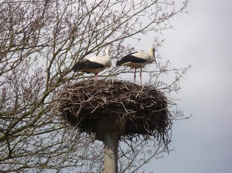 Hotelli Kavaliershaus Schloss Blücher