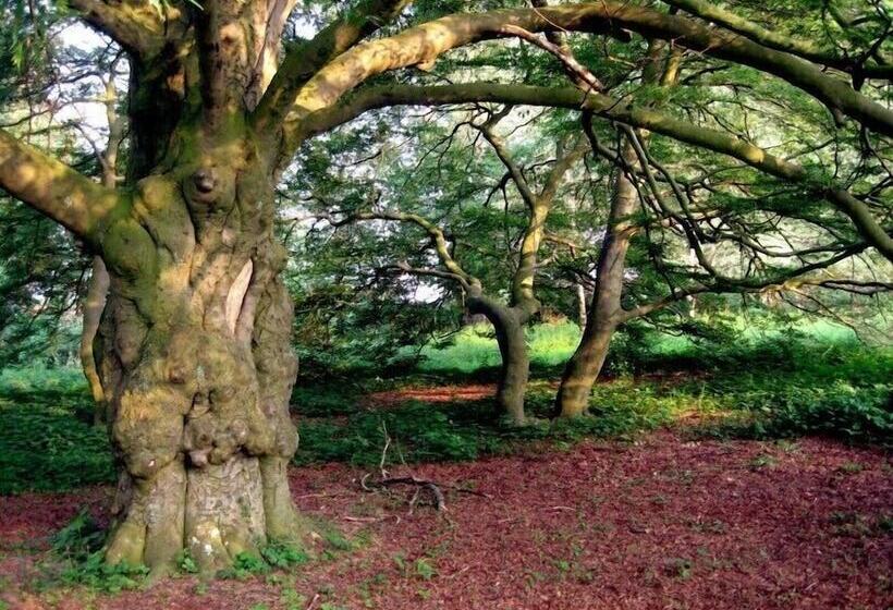 فندق Kavaliershaus Schloss Blücher