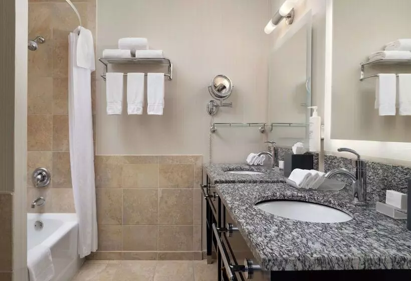 酒店 Homewood Suites by Hilton Chicago Downtown / Magnificent Mile