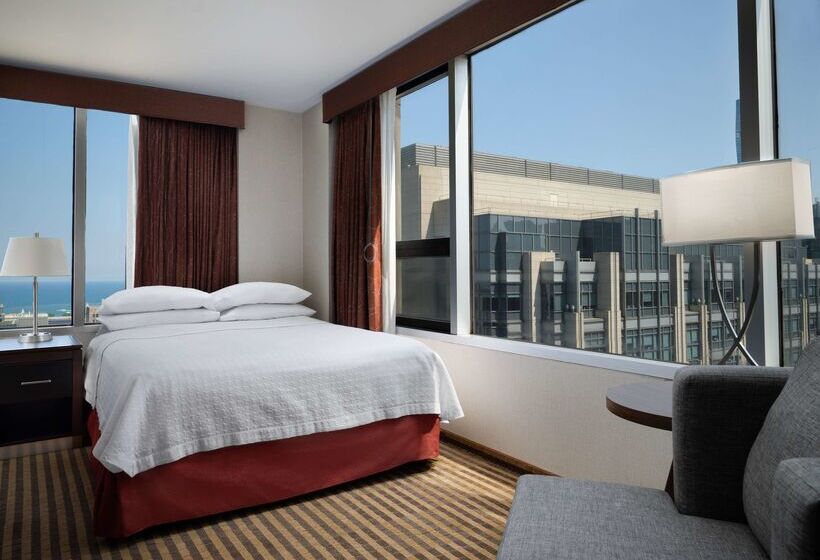 호텔 Homewood Suites by Hilton Chicago Downtown / Magnificent Mile