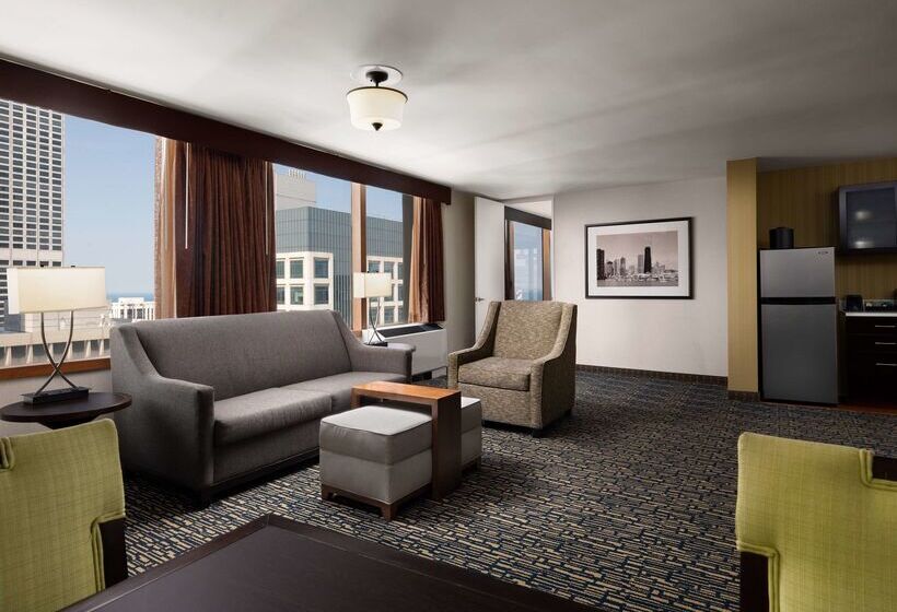 호텔 Homewood Suites by Hilton Chicago Downtown / Magnificent Mile
